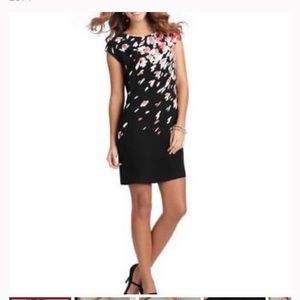 New shift dress